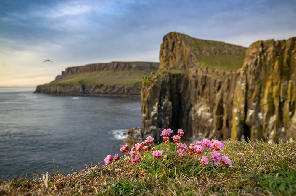 Why environmentalists need tax justice - Tax Justice Scotland